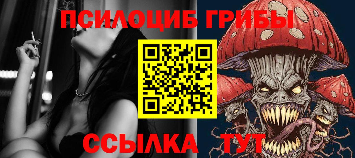 Луховицы  Псилоцибиновые грибы Psilocybine cubensis  Псилоцибиновые грибы Cubensis  Вход с VPN 
